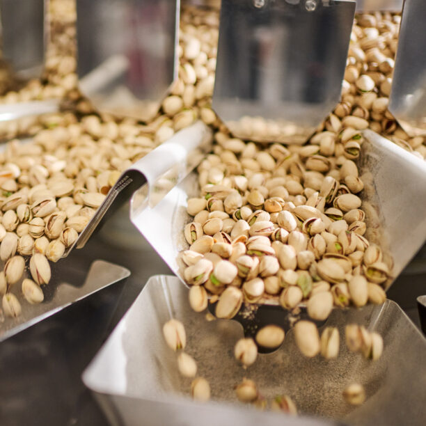 Geröstete Pistazien laufen über eine industrielle Mehrkopfwaage bzw. Sortieranlage bei der Firma Solent Rheine